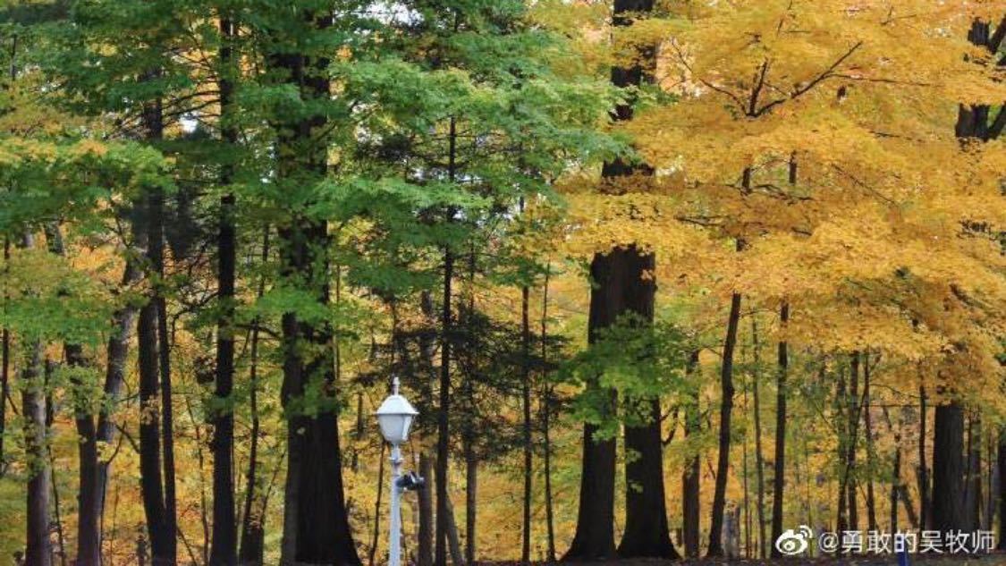 摄影师是多喜欢张新成的眼睛