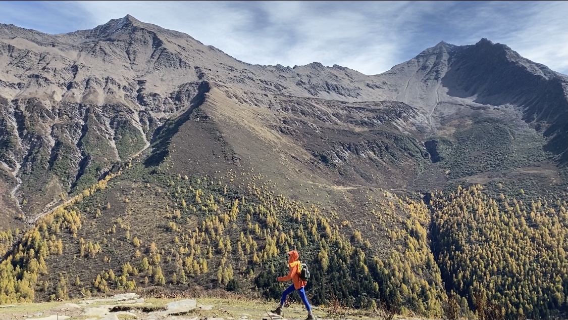 抖音评论点赞业务网站：社交媒体营销策略优化与内容推广指南_自助下单网